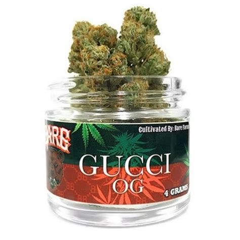 marihuana gucci|gucci og cannabis strain.